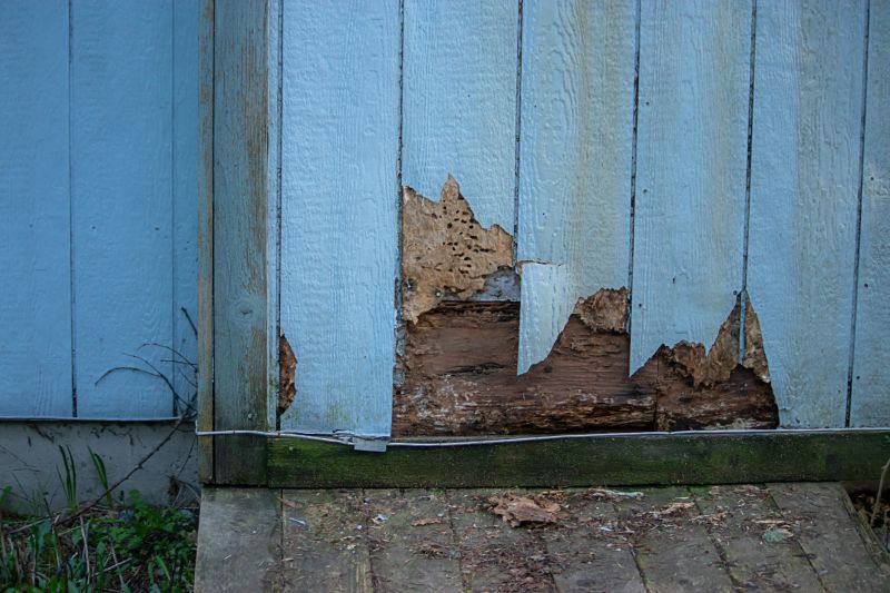 Weather Impact on Siding