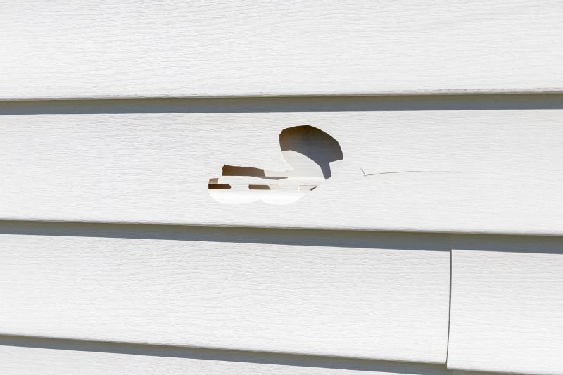 Patch and Replace Vinyl Siding
